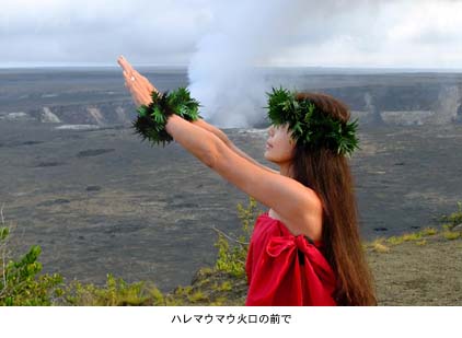 ハレマウマウカヒコ