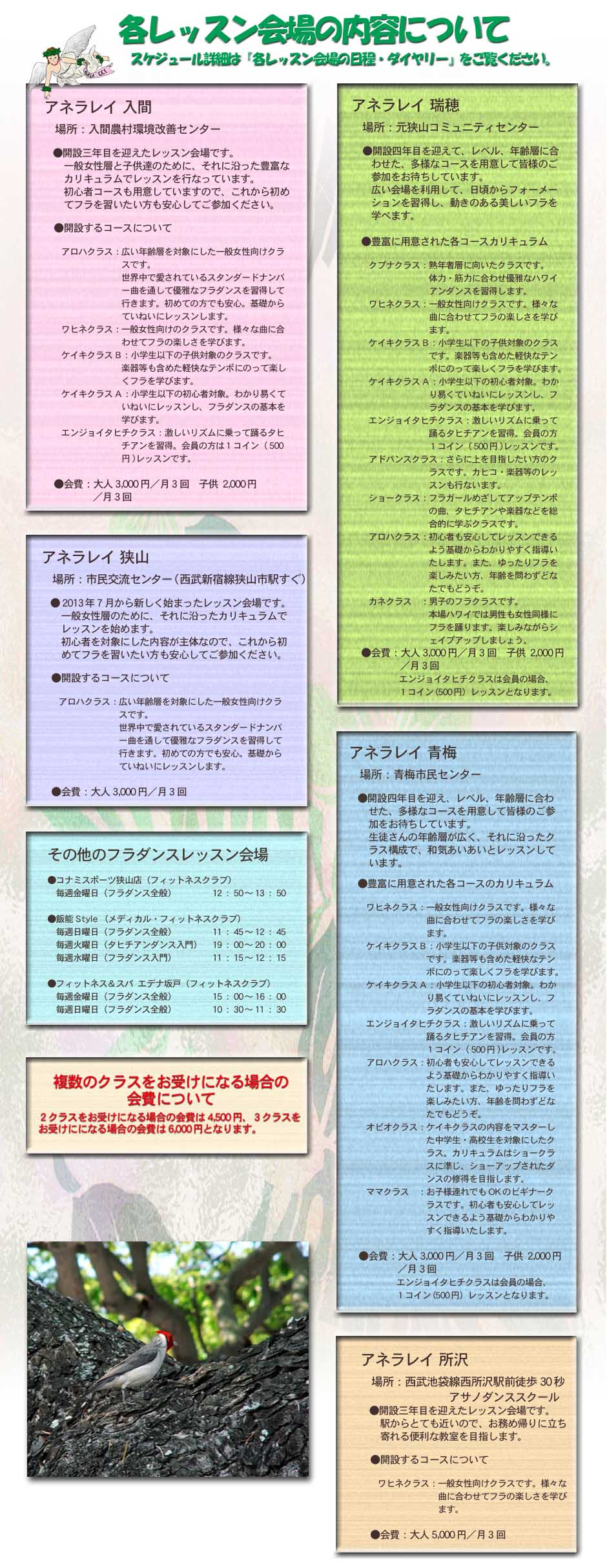 レッスンメイン