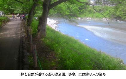 釜の淵