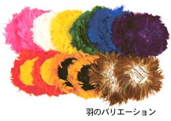 バリエーション